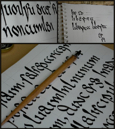 M&eacute;rovingienne 2010