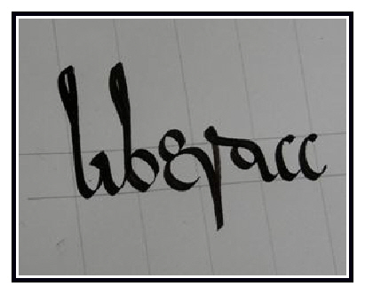 M&eacute;rovingienne 2 2010